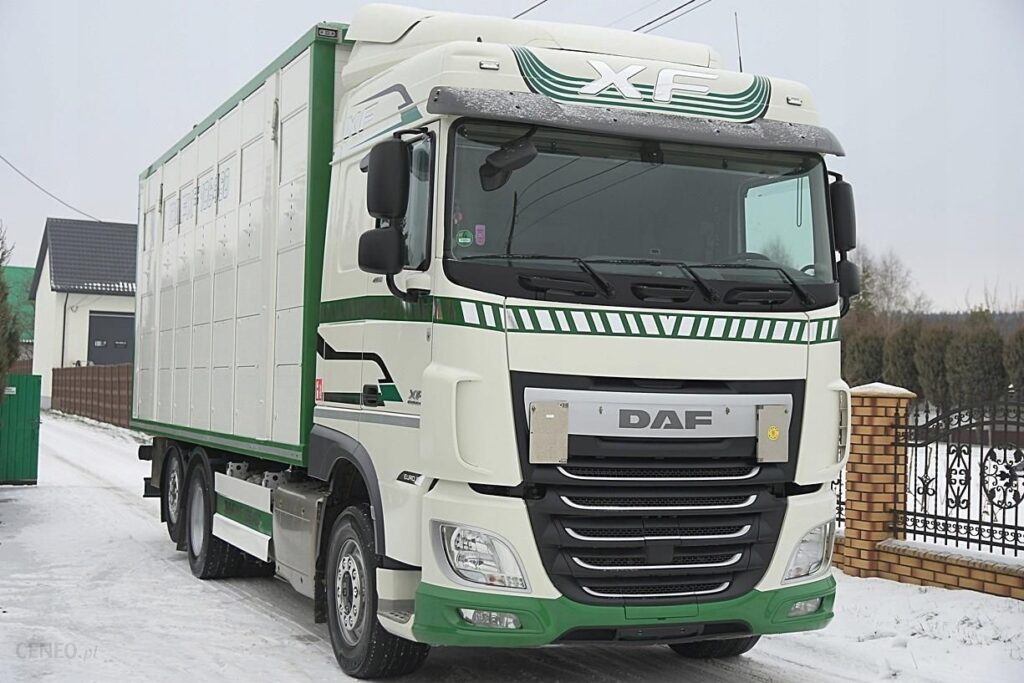 DAF XF 106.460_Do Zwierząt Żywca_KLIMA +POST_IDEAŁ