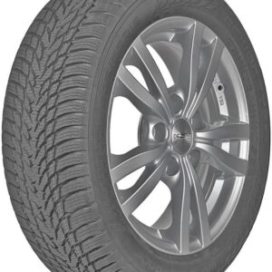 Nokian Tyres Wr Snowproof 205/55R16 91H