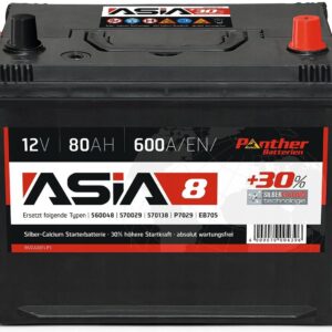 Panther Batterien Akumulator 12V 80Ah 600A 263*175*225Mm P Plus Asia 8