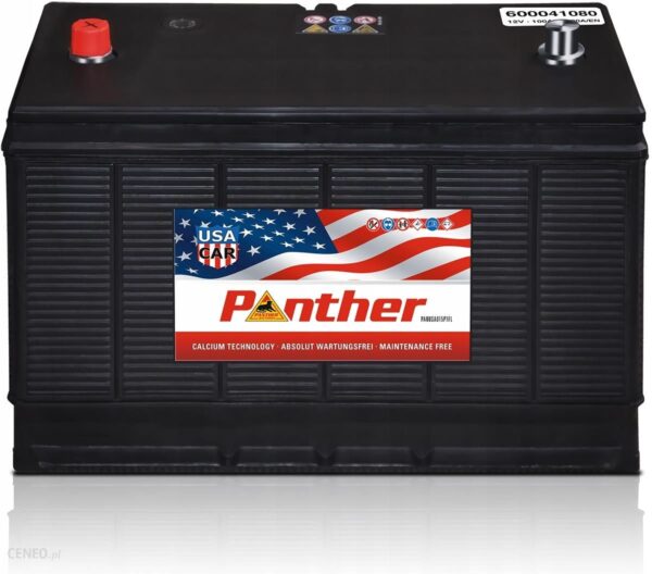 Panther Batterien Akumulator 60041 12V 100Ah 800A 330*175*235Mm Cat 600 41