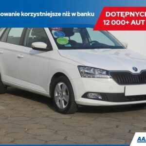 Skoda Fabia 1.0 , Salon Polska, 1. Właściciel