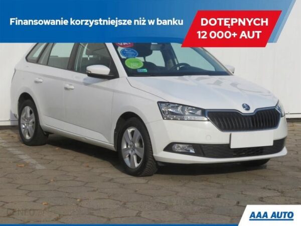 Skoda Fabia 1.0 , Salon Polska, 1. Właściciel